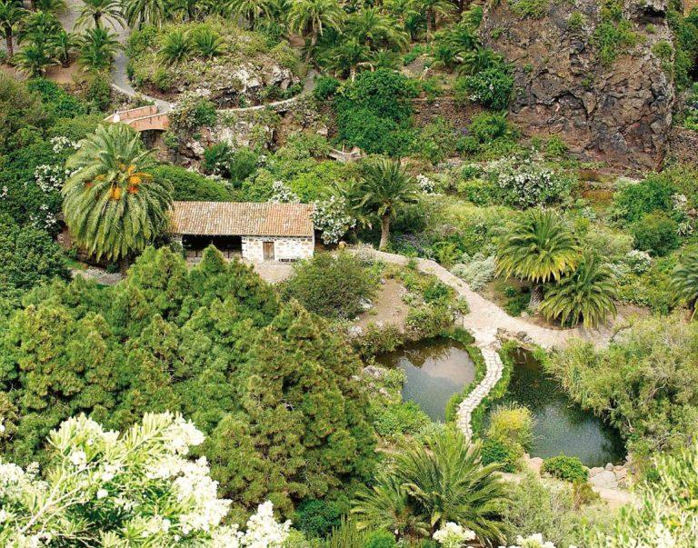 Jardín Botánico en Gran Canaria (Fuente: Hola Islas Canarias)